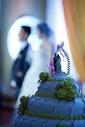 美女摔跤新作《暴力塞壬》公布 搏击玫瑰精神续作